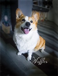 Sample photo 2 from ProNerd